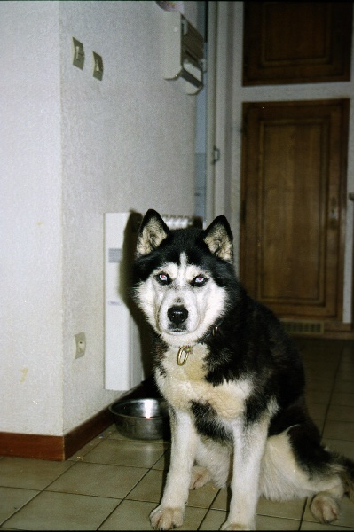 Ichka (Sans Affixe)